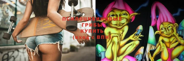 дживик Тавда