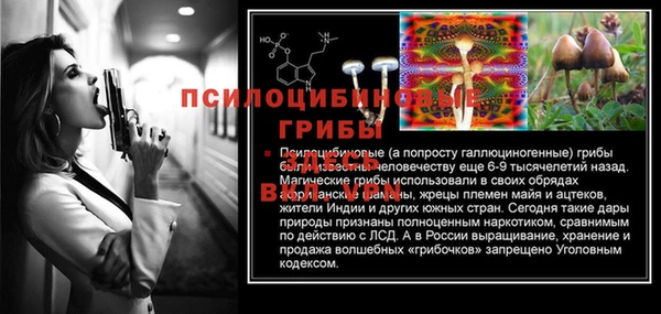 твердый Богданович